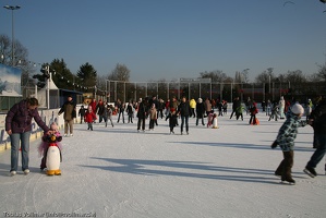 Alte Eisbahn 20110226-152628-3955