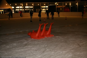 Eisbahn Lankwitz-20120204-22 09 06 5286