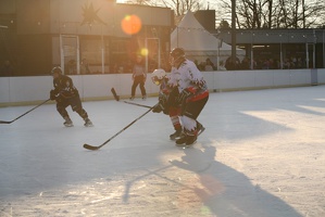 IceBusinessCup-20130315-17 09 52 7236