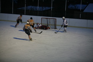 IceBusinessCup-20130315-18 25 07 7309