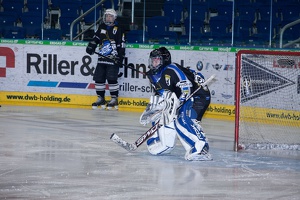 IceBusiness vs DevilDucks 20140213-190700 2397