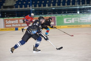 IceBusiness vs HoDev 20140220-203931 2746