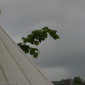 Internes_Lager_Dabendorf_20090627_151627_2704.jpg