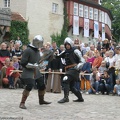 Burgfest_Stargard_20100815-121933-8327.jpg