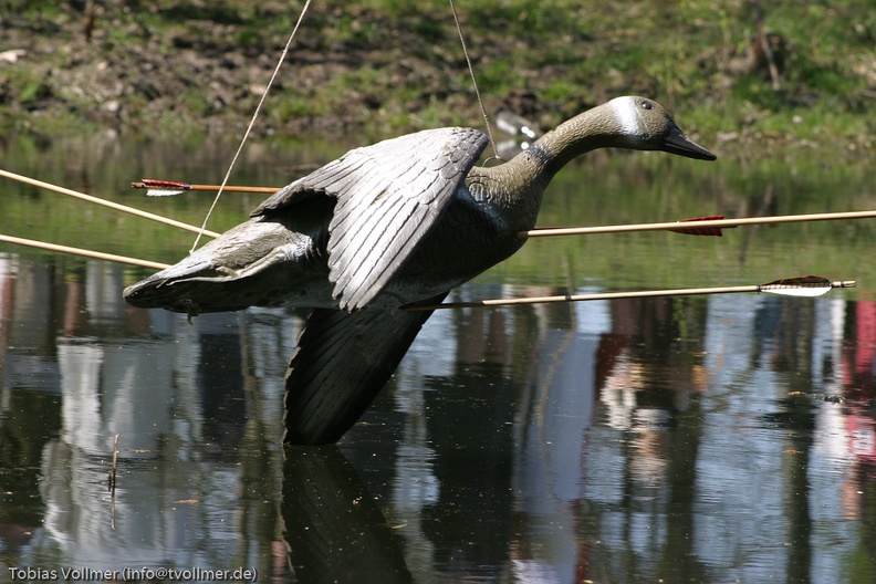 Heerbann_20100425_134535_1742.jpg