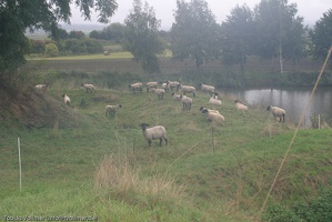 Wasserburg Heldrungen 20100926-104740-0647