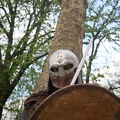 Pankow_20110416-184248-7138.jpg