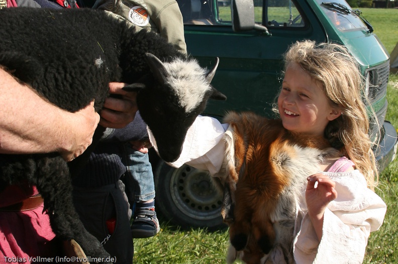 Alls Wari Dags 20110430-170723-8194 - Alls_Wari_Dags_20110430-170723-8194.jpg Alls_Wari_Dags_20110430-170723-8194.jpg