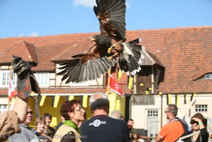 Burgfest Stargard-20120812-17 12 23 3854