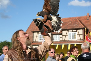 Burgfest Stargard-20120812-17 12 23 3855