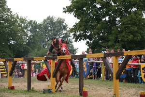 Burg-Stargard 20130811-162711 8381