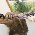 Baebelin_20130728-123755_5959.jpg