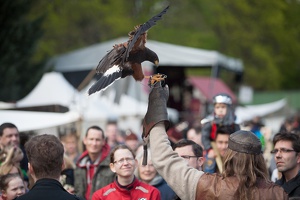 8WikingerMittelalterSpektakelPankow 20140413-131940 4684