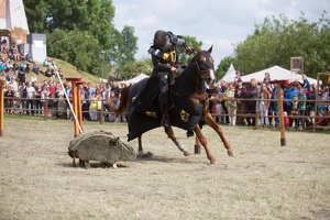 Neustadt-Glewe 20140601-155224 7849