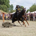 Neustadt-Glewe_20140601-155224_7849.jpg