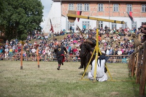 Neustadt-Glewe 20140601-155649 7871