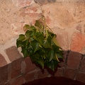 Gerswalder-Wasserburgfest_20140712-181320_7385.jpg