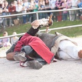Burgfest-Heldrungen_20140928-155916_2181.jpg
