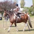 Osterfeuer_Werbellin_20140420-134021_5514.jpg