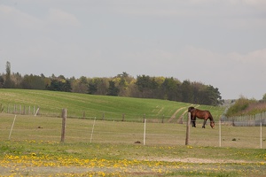 Osterfeuer Werbellin 20140420-135441 5594