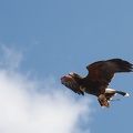 9__Wikinger_und_Mittelalterspektakel_20150418-144623_9527.jpg