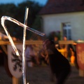 Stargard_20180811-212902_5963.jpg