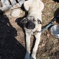 Werbellin-Ostern_20190421-100746_1230.jpg