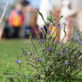 Werbellin_20191020-132432_4159.jpg