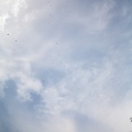 Andalusien_20150326-150409_7877.jpg