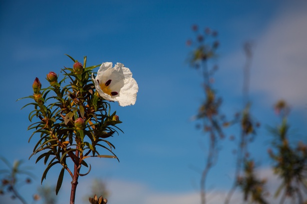 Andalusien 20150326-162623 7897