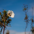 Andalusien_20150326-162623_7897.jpg
