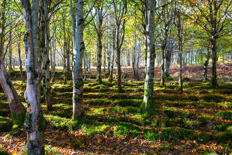 Irland_20161029-120201_6654.jpg