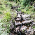 Scotland_20180713-111035_1561.jpg