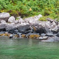 Scotland_20180717-102340_1932.jpg