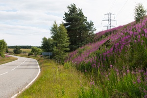 Scotland 20180719-145831 2406