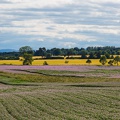 Scotland_20180719-152709_2415.jpg