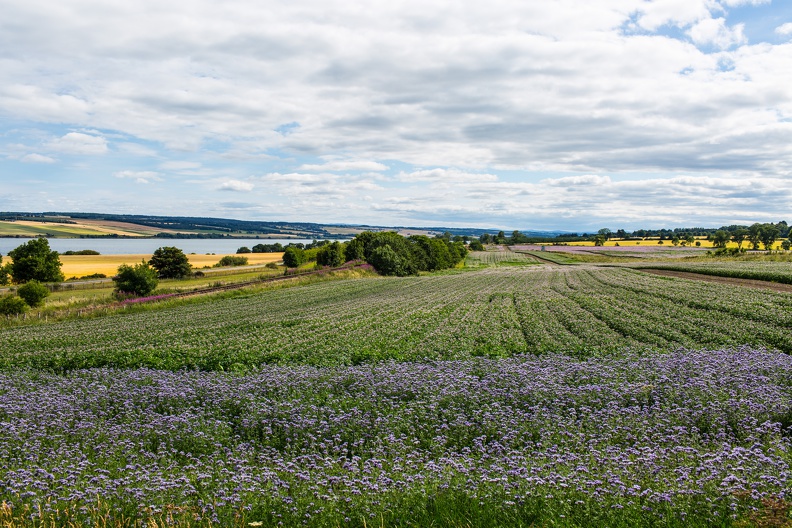 Scotland 20180719-153004 2418 - Scotland_20180719-153004_2418.jpg Scotland_20180719-153004_2418.jpg
