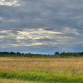 Scotland_20180719-180440_2444.jpg