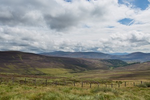 Scotland 20180721-120036 2499