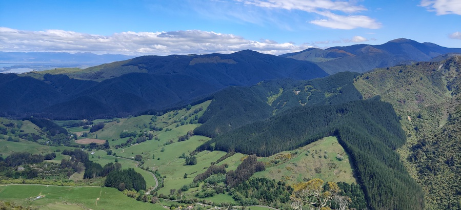 Newzealand 20191030-145003 145002