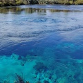 Newzealand_20191030-163538_163538.jpg