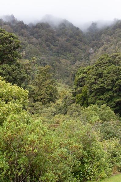Newzealand 20191101-134316 4462 - Newzealand_20191101-134316_4462.jpg Newzealand_20191101-134316_4462.jpg