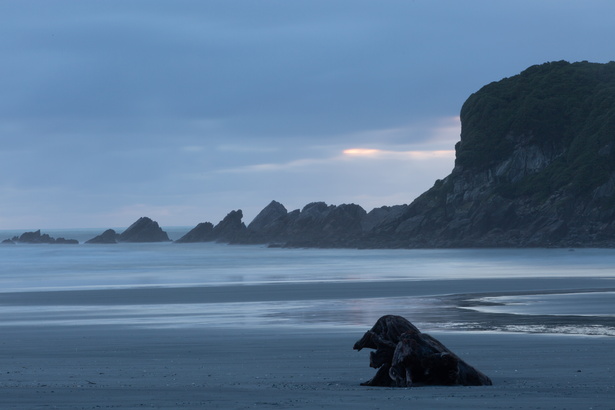 Newzealand 20191101-203358 4587