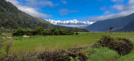 Newzealand 20191102-174457 174456