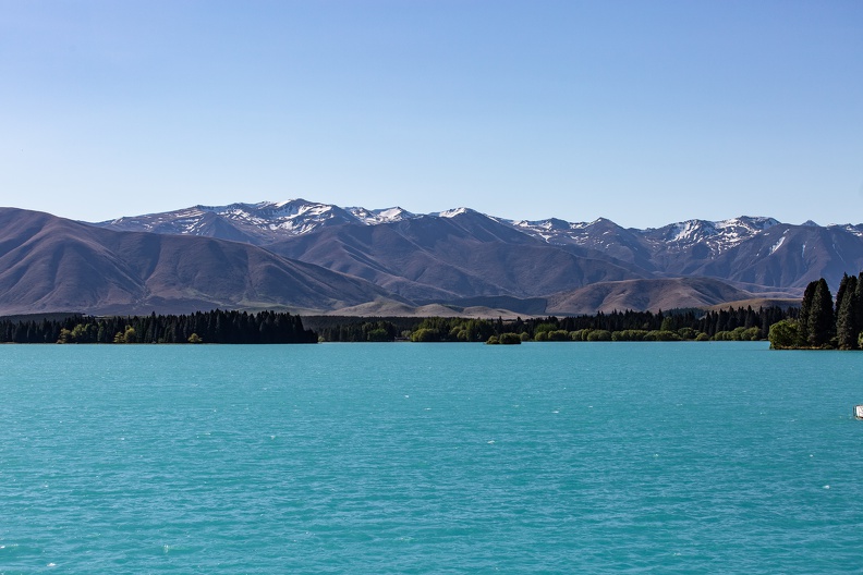 Newzealand_20191103-172403_4716.jpg