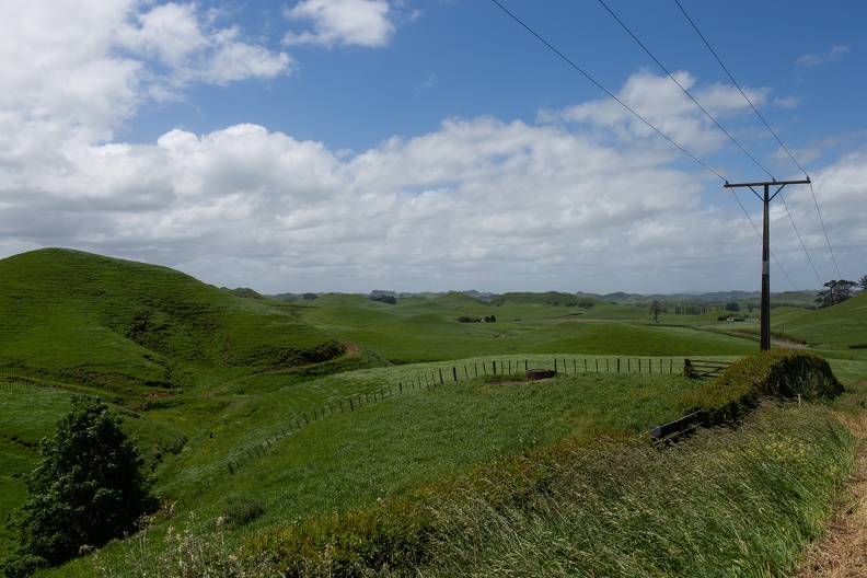 Newzealand 20191111-134502 5379 - Newzealand_20191111-134502_5379.jpg Newzealand_20191111-134502_5379.jpg