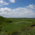 Newzealand_20191111-134502_5379.jpg
