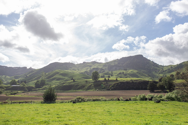 Newzealand 20191112-090318 5444