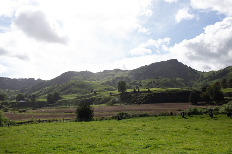 Newzealand 20191112-090338 5450 - Newzealand_20191112-090338_5450.jpg Newzealand_20191112-090338_5450.jpg