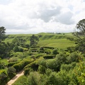 Newzealand_20191113-100355_5793.jpg